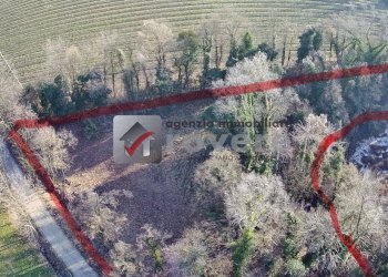 Terreno agricolo Villorba - foto 11