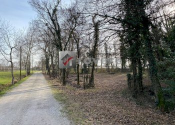 Terreno agricolo Villorba - foto 12