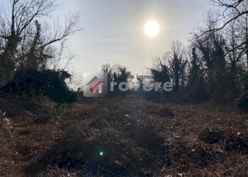 Terreno agricolo Villorba - foto 15