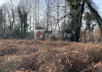 Terreno agricolo Villorba - foto 16