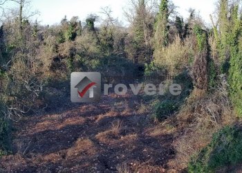 Terreno agricolo Villorba - foto 18