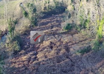 Terreno agricolo Villorba - foto 21