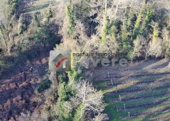 Terreno agricolo Villorba - foto 22