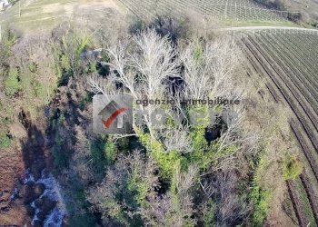 Terreno agricolo Villorba - foto 29