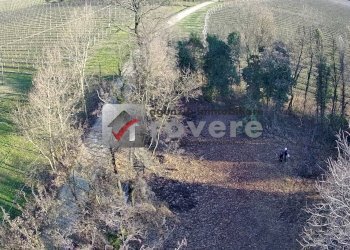 Terreno agricolo Villorba - foto 30