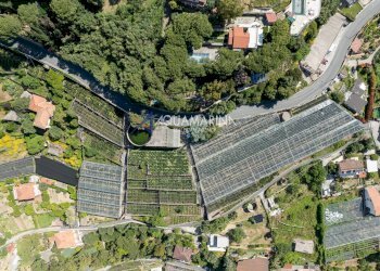 Villa Unifamiliare Sanremo - foto 7