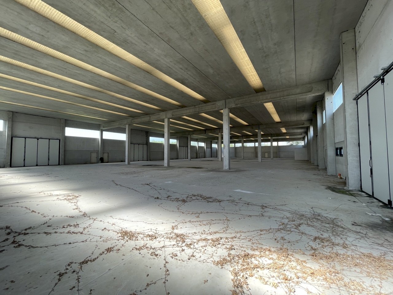 IMG_3350.jpeg - Magazzino Via delle Barazzine 9, Pieve Porto Morone - foto 3