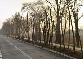 Semi-detached Villa Cavernago - photo 9