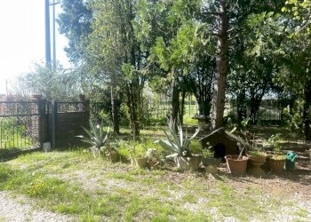 Villa Unifamiliare Sant'Agata sul Santerno - foto 30