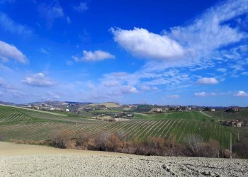 Rustico Appignano del Tronto - foto 11