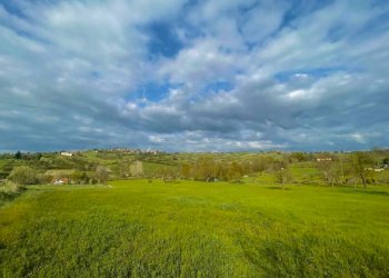 TERRENO - Terreno agricolo strada Comunale Viola-Rosè Faceto, Tortona - foto 9