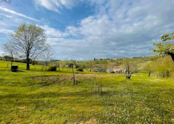 TERRENO - Terreno agricolo strada Comunale Viola-Rosè Faceto, Tortona - foto 10
