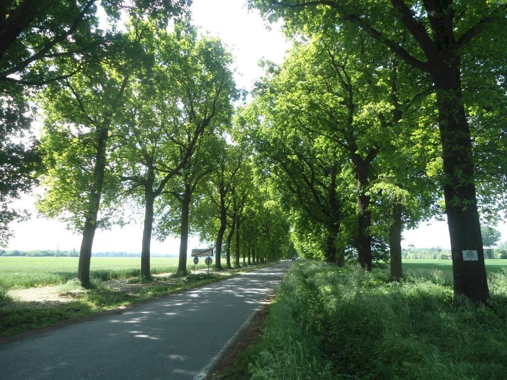 VIALE - Shed via Lame, Argelato - photo 2