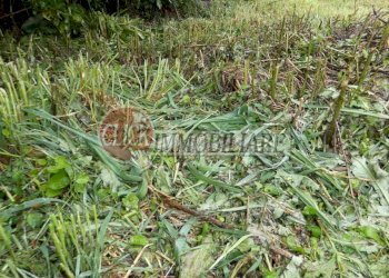 P1080390.JPG - Appartamento Scarperia e San Piero - foto 13