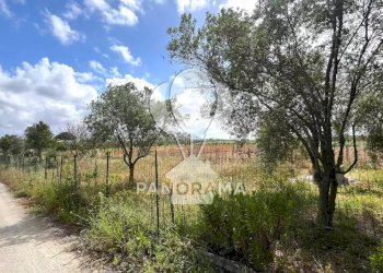 Terreno agricolo Contrada Cassarà, Partinico - foto 1