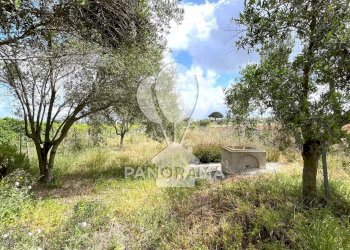 Terreno agricolo Contrada Cassarà, Partinico - foto 2