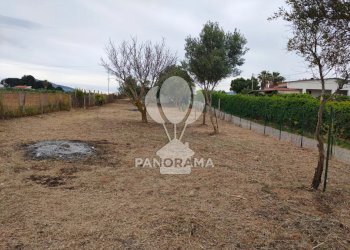 Terreno agricolo Contrada Cassarà, Partinico - foto 9