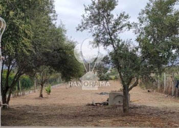Terreno agricolo Contrada Cassarà, Partinico - foto 10