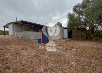 Terreno agricolo Contrada Cassarà, Partinico - foto 12