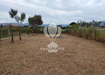 Terreno agricolo Contrada Cassarà, Partinico - foto 13