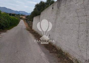 Terreno agricolo Contrada Cassarà, Partinico - foto 15