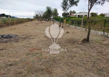Terreno agricolo Contrada Cassarà, Partinico - foto 16