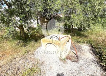 Terreno agricolo Contrada Cassarà, Partinico - foto 20