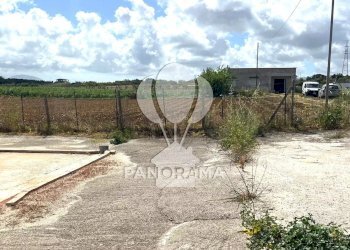 Terreno agricolo Contrada Cassarà, Partinico - foto 21