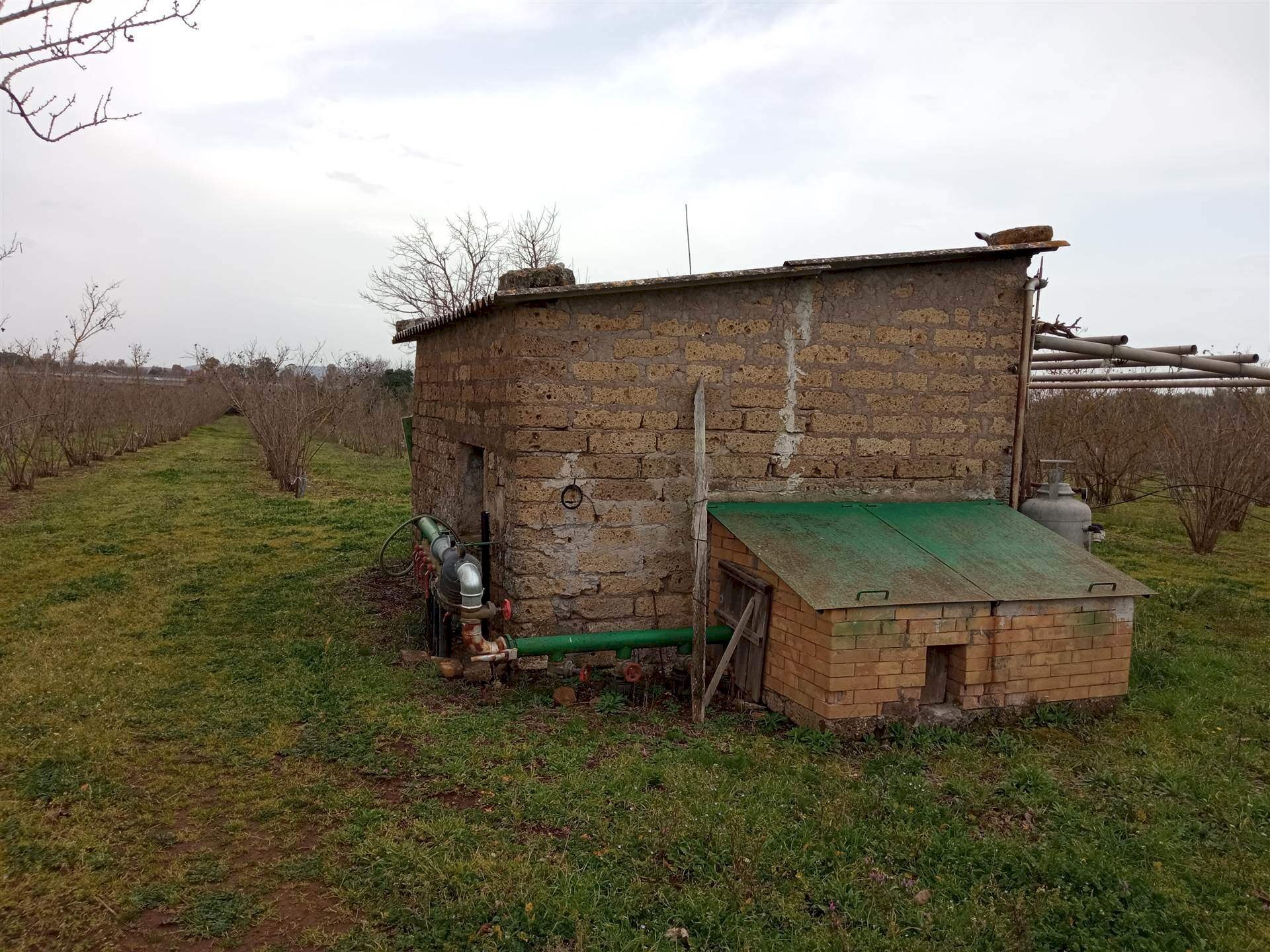 Terreno agricolo -, Vetralla - foto 1