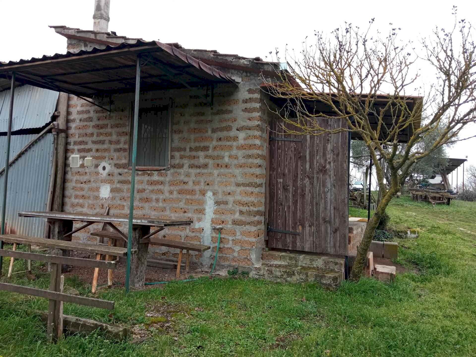 Terreno agricolo -, Vetralla - foto 2