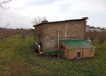 Terreno agricolo -, Vetralla - foto 1