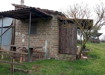 Terreno agricolo -, Vetralla - foto 2