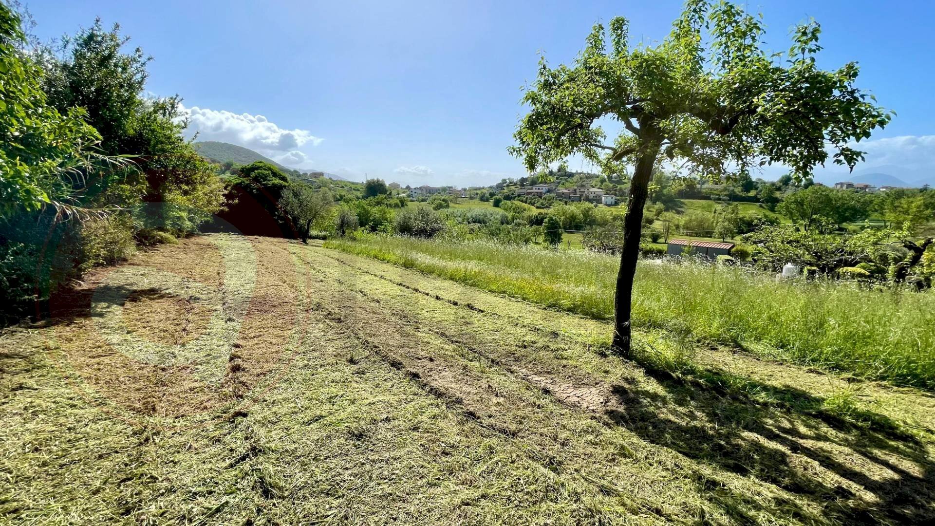 Appartamento Via Campogrande, Colfelice - foto 3