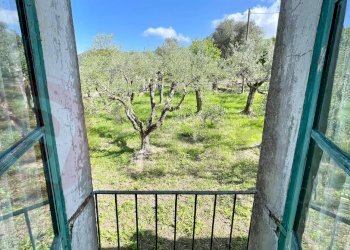 Appartamento Via Campogrande, Colfelice - foto 15