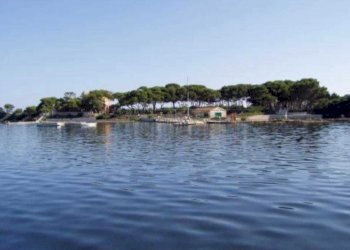 PHOTO-2024-02-01-12-58-04.jpg - Villa Marsala - foto 7