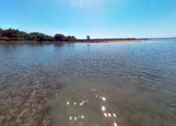 PHOTO-2024-02-01-12-58-05.jpg - Villa Marsala - foto 11