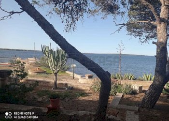 PHOTO-2024-02-01-12-58-42.jpg - Villa Marsala - foto 30