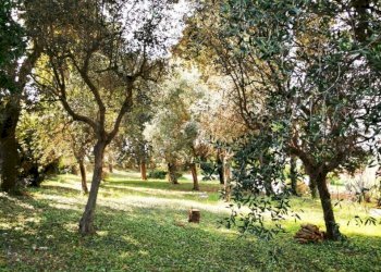 4cda4c95-e1db-4115-ac30-030ce2e084ac.jpeg - Rustico Via Casino Pulini 17, Montemarciano - foto 5