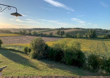 b9ab9916-4fb4-46e6-8693-b26fcef70575.jpeg - Rustico Via Casino Pulini 17, Montemarciano - foto 6