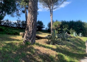 b0b44f83-2dbb-4f67-b204-4081310b94c9.jpeg - Rustico Via Casino Pulini 17, Montemarciano - foto 7