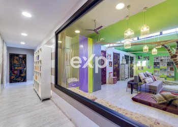 Villa Albano Laziale - foto 55