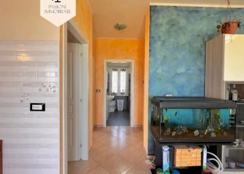 Independent house Cassine - photo 13