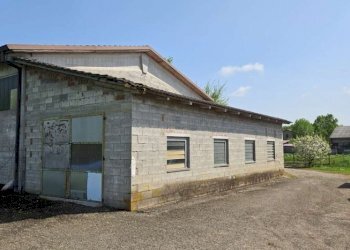 Farm Soliera - photo 4