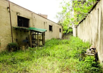 Stable - Palace Reggio nell'Emilia - photo 7