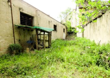 Stable - Palace Reggio nell'Emilia - photo 8