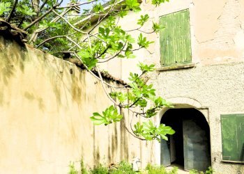 Stable - Palace Reggio nell'Emilia - photo 11