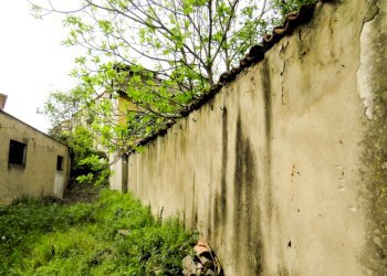 Stable - Palace Reggio nell'Emilia - photo 13