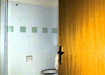 Stable - Palace Reggio nell'Emilia - photo 18