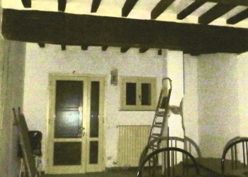 Stable - Palace Reggio nell'Emilia - photo 19