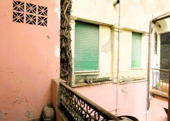 Stable - Palace Reggio nell'Emilia - photo 24